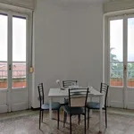 Rent 1 bedroom apartment in milan