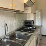 Rent 2 bedroom apartment of 52 m² in Milano