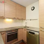 Pronajměte si 3 ložnic/e byt o rozloze 115 m² v Praha