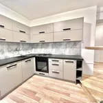 Rent 4 bedroom apartment of 116 m² in Český Těšín