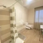 Rent 1 bedroom apartment of 65 m² in Fiorenzuola d'Arda