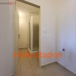 Rent 2 bedroom apartment of 40 m² in Trhový Štěpánov