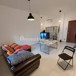 Rent 2 bedroom apartment of 55 m² in Bologna