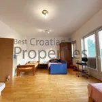 Rent 1 bedroom apartment of 70 m² in City of Zagreb