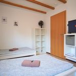 Miete 5 Schlafzimmer wohnung von 155 m² in Kaiserslautern