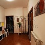 Rent 4 bedroom apartment of 120 m² in Caserta