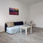 Rent 1 bedroom apartment of 29 m² in Příbor