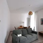 Rent 3 bedroom apartment of 67 m² in Albi