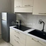 Rent 3 bedroom apartment of 100 m² in Turin