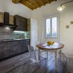 Rent 1 bedroom apartment of 45 m² in Florence