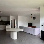 Rent 1 bedroom apartment in AARTSELAAR