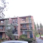 Rent 1 bedroom apartment in Subiaco