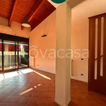 Rent 2 bedroom apartment of 50 m² in Bologna