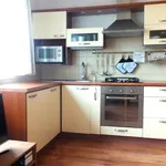 Rent 1 bedroom apartment of 41 m² in Prague