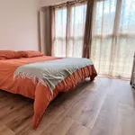 Rent 2 bedroom apartment of 40 m² in Montpellier