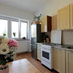 Rent 1 bedroom apartment of 48 m² in Brno