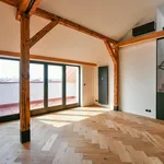 Rent 4 bedroom apartment of 153 m² in Capital City of Prague