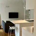 Rent 1 bedroom house of 55 m² in Turin