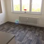 Rent 1 bedroom apartment of 36 m² in Ostrava