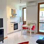 Rent 2 bedroom apartment of 50 m² in Milano