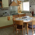 Rent 4 bedroom apartment of 130 m² in Madruzzo