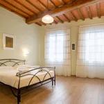 Rent 1 bedroom apartment in Florence