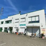 Rent 1 bedroom apartment of 34 m² in Krefeld