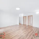 Rent 3 bedroom apartment in Rokycany