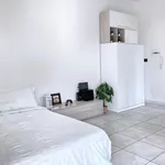 Rent 1 bedroom apartment in Bologna