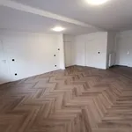 Huur 4 slaapkamer appartement van 100 m² in Ooltgensplaat woonkern