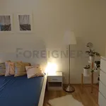 Rent 1 bedroom apartment of 33 m² in Pilsen