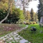 Rent 2 bedroom apartment of 40 m² in Torino