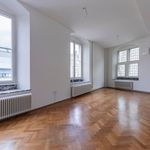 Rent 1 bedroom apartment of 41 m² in Sittard