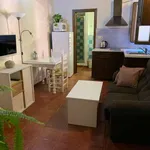 Rent 1 bedroom apartment of 36 m² in granada