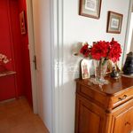 Rent 5 bedroom apartment of 150 m² in LILLE
