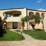 Rent 3 bedroom apartment of 90 m² in olbia