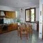 Rent 7 bedroom house of 132 m² in Cesena