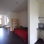 Rent 1 bedroom apartment in Leuven