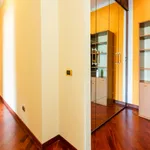 Rent 4 bedroom apartment in Rome