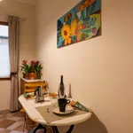 Rent 1 bedroom apartment of 40 m² in Florence