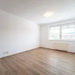 Rent 1 bedroom apartment of 29 m² in Capital City of Prague