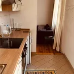 Rent 1 bedroom apartment in berlin