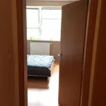 Rent 1 bedroom apartment in Praha - západ