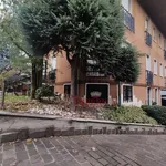 Rent 1 bedroom apartment of 30 m² in Desio