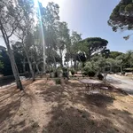 Rent 6 bedroom house of 320 m² in Messina