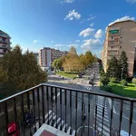 Rent 3 bedroom apartment of 75 m² in Torino