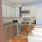 Rent 1 bedroom flat in Colchester