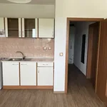 Rent 1 bedroom apartment in Pardubice