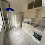 Pronajměte si 3 ložnic/e byt o rozloze 63 m² v Pilsen