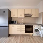 Pronajměte si 3 ložnic/e byt o rozloze 109 m² v Prague